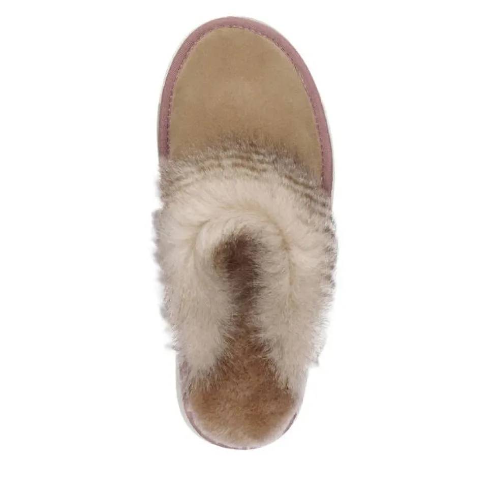 Jolie Sharky Crimp - Camel