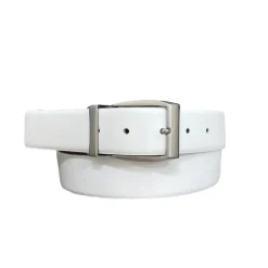 Reversible Belt