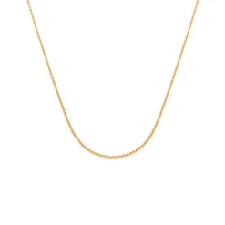 Rolo Chain - Gold