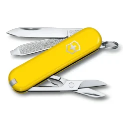 Classic SD Colors - Sunny Side