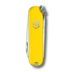 Classic SD Colors - Sunny Side